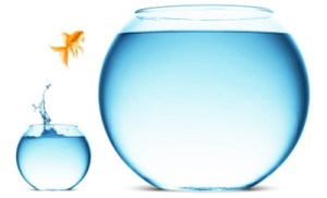 A goldfish jumping out of the water to escape to freedom. White background.
